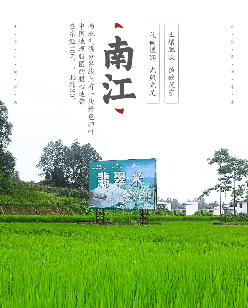 南江翡翠米(图2)