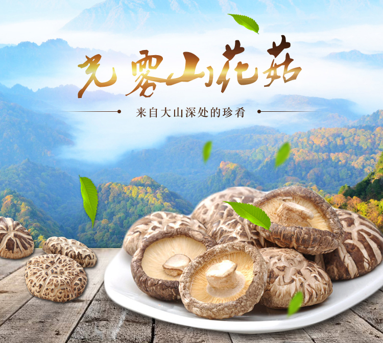  南江香菇(图1)