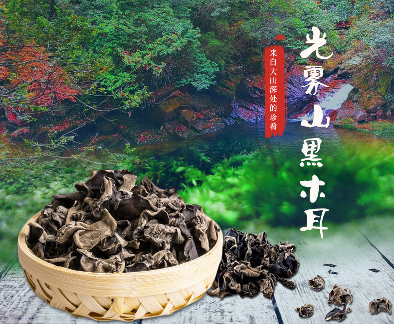 南江黑木耳(图1)