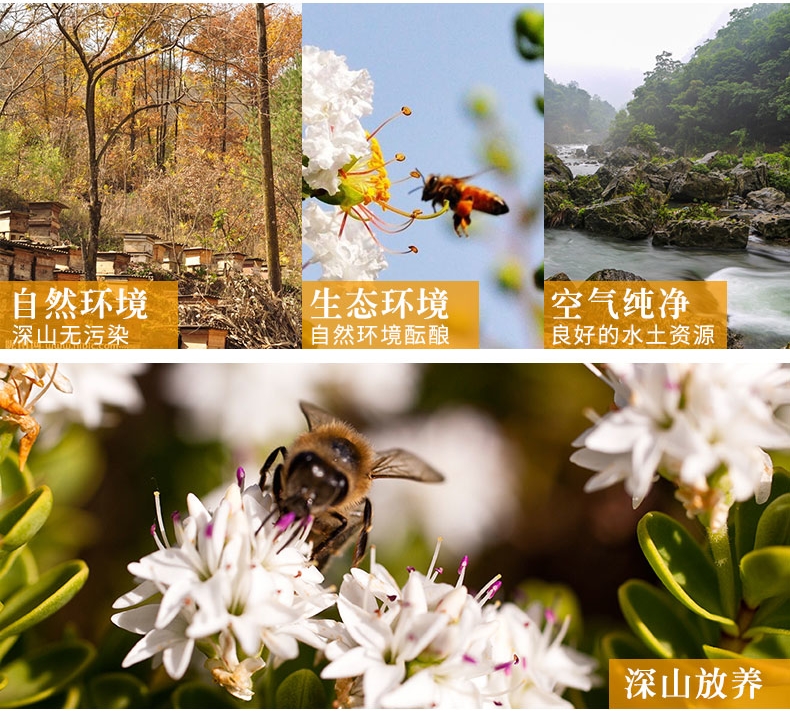 光雾山药蜜(图2)